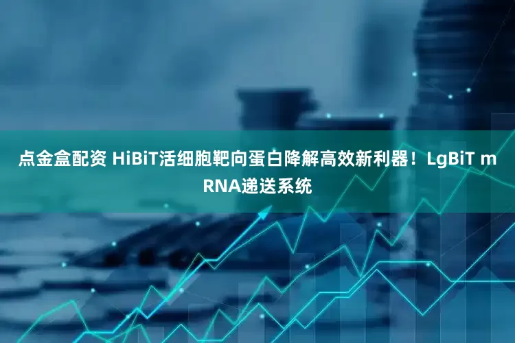 点金盒配资 HiBiT活细胞靶向蛋白降解高效新利器！LgBiT mRNA递送系统